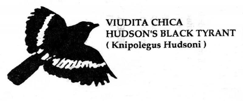 Viudita chica, ave argentina cuyo nombre cientifico es un homenaje a Guillermo Enrique Hudson.         Fue utilizado por una entidad de esta localidad, como logo para sus remeras.