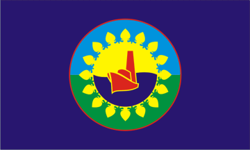 Bandera de Berisso